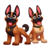 malinois 15