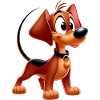 Pinscher 5