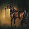 Cheval en forêt
