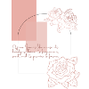 Roses géométriques