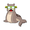 Seal Sunglasses