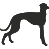windhund