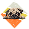 Pug