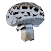 Champion Mushroom