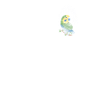 Parakeet Fingerprint Creative Parakeet