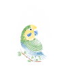 Parakeet Fingerprint Creative Parakeet