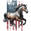 Paso Fino US Paso Fino