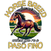 Paso Fino Paso Fino