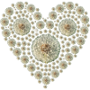 Heart of Dandelion
