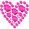 pink roses heart