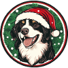 Santa Claus Dog