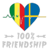 Senegal and Sweden 100% friendship