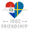 Paraguay and Sweden 100% friendship