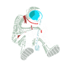 Clarinet