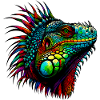 Iguana