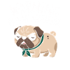 Caution Passive Aggressive Pug Warning