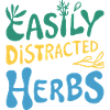 Herb lover: Easily distracted