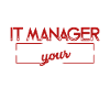 IT Manager IT Manager Superpower