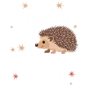 Hedgehog Spiny Animal Hedgehog