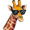 Giraffe Animal Africa Giraffes