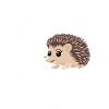hérisson animal épineux hérisson