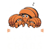 Crab Hermit Crab Crab Crab Crab
