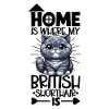 Home - British Shorthair