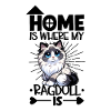 Home - Ragdoll