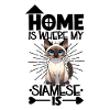 Home - Siamese Cat