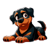 Rottweiller 2