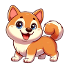 shiba