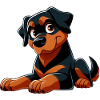 Rottweiller 7