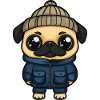 Pug Dog Stylish