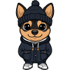 Pinscher Dog Stylish