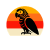 L’équipe African Grey Parrot