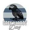 African grey parrot Grey Parrot
