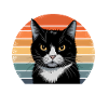 Funny Black Cat