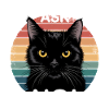 Prima che tu chieda no, divertente gatto nero