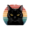 Funny Black Cat