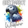 Grey Parrot Whisperer