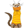Ferret