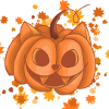PUMPKIN CAT