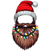 Barbe Barbu Chapeau de Noël