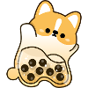 Boba Corgi