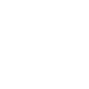 Raccoon squad