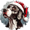 Christmas Dog