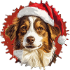 Christmas Dog