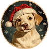 Santa Claus Collie