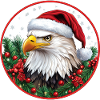 Santa Claus Eagle