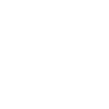 Riesenschnauzer Schnauzer géant